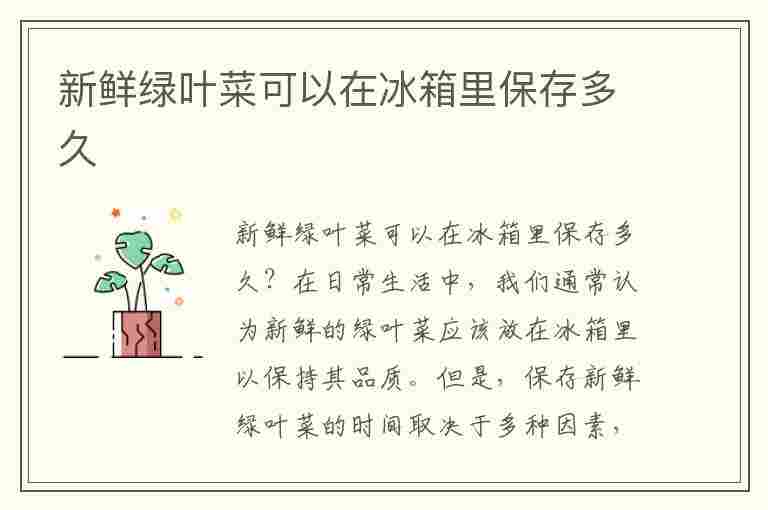 新鲜绿叶菜可以在冰箱里保存多久